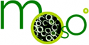 Moso